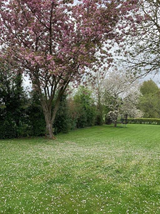 Le Nalousie Villa Livry  ภายนอก รูปภาพ