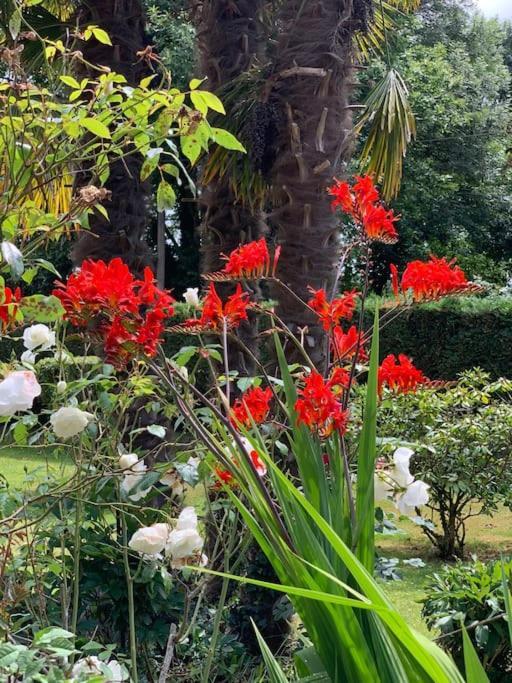 Le Nalousie Villa Livry  ภายนอก รูปภาพ