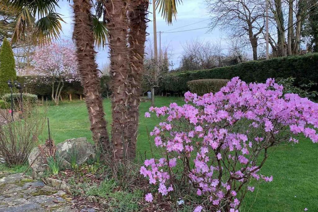 Le Nalousie Villa Livry  ภายนอก รูปภาพ
